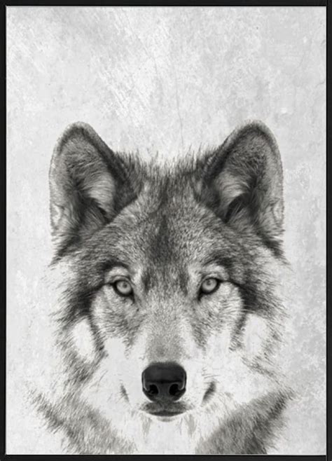 Arriving Soon! Stylish black and white photo poster of a wolf against a ...