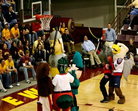 Top 24 Bird Mascots: Names, Colleges, NFL & More!