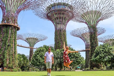 Gardens by the Bay Singapore: Cloud Forest to Supertree Grove