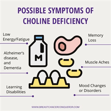 Breast Cancer and Choline: The Down and Dirty - Breast Cancer Conqueror