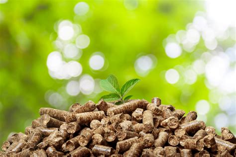 What is Biomass Energy & How to Use It? | Spring Power & Gas