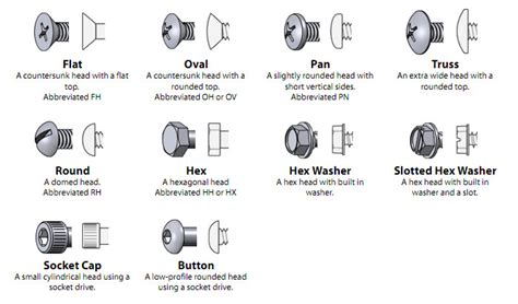 Screw Types Guide