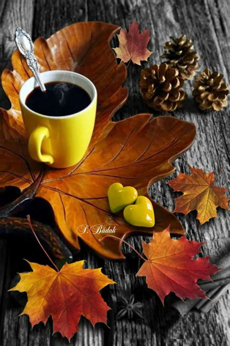 Account Suspended | Autumn coffee, Autumn tea, Autumn scenery