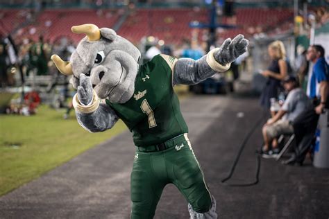 USF Mascot Rocky the Bull Dabs vs. NIU 2016 by Dennis Akers