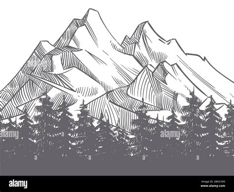 Rocky Mountain Drawings