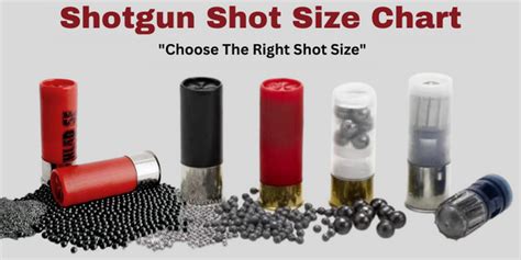 Shotgun Shot Size Chart - Guide To Choose The Right Shot