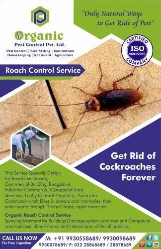 Roaches Pest Control Services at Rs 1500/square inch | termite control ...