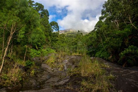 Hiking on the Mayon Volcano Stock Image - Image of paddy, lava: 154630813