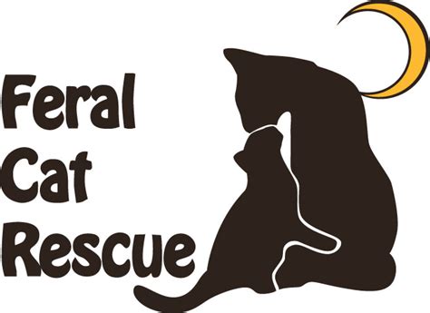 Pets for Adoption at Feral Cat Rescue, Inc., in Great Mills, MD | Petfinder