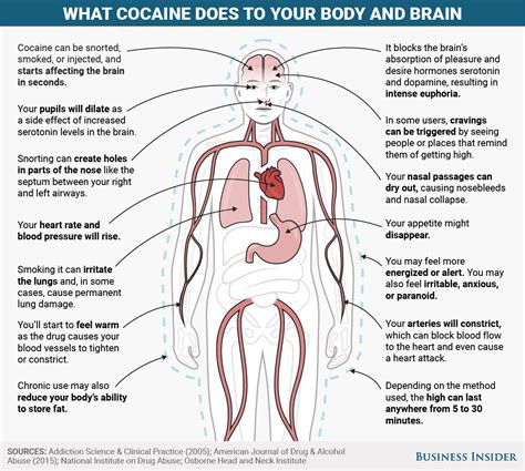 What cocaine does to your body and brain | Markets Insider