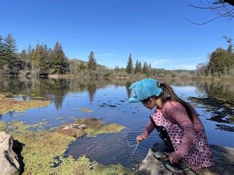 Dive into Spring Lake Regional Park Campground with your Kids ...