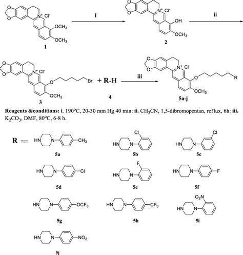 Synthesis of piperazine-linked berberine derivatives | Download ...