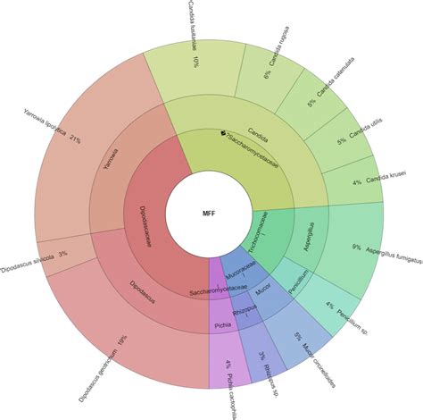 Diversity of microbiota in Slovak summer ewes’ cheese “Bryndza”