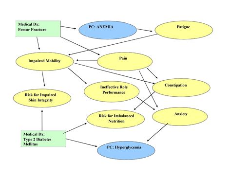 Type 1 Diabetes Concept Map