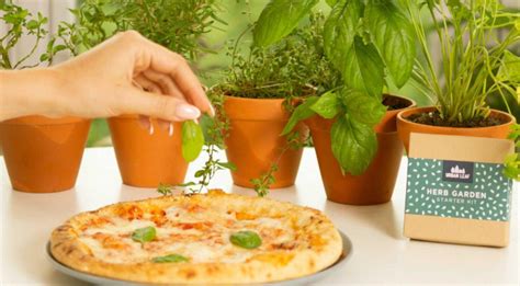 Learn About the Best Spices for Pizza Made at Home