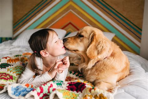 Most Affectionate Dog Breeds That Love to Cuddle | Reader's Digest