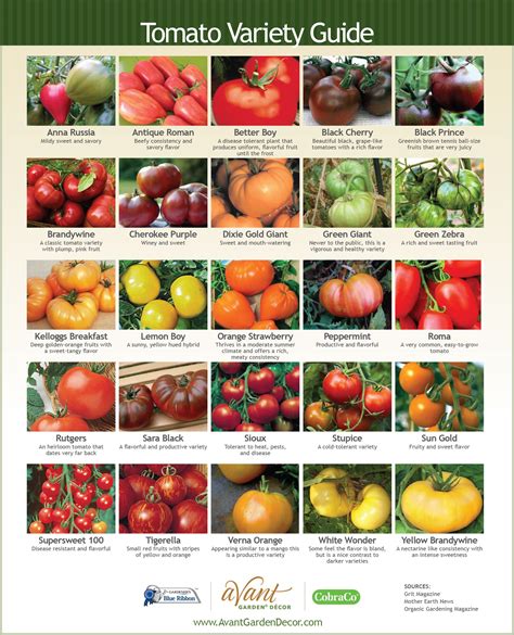 Tomato Variety Guide | Avant Garden Decor | Types of tomatoes, Best ...