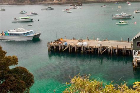 Stewart Island Ferry | Bluff to Stewart Island Ferry New Zealand