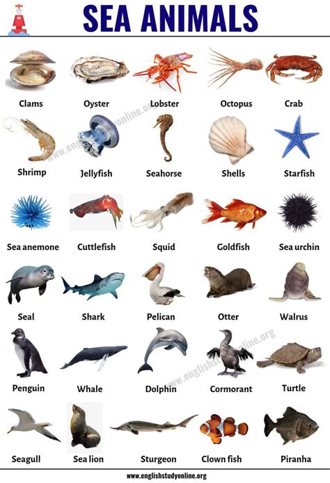 Sea Animals: List of 49 Popular Sea Animals with ESL Pictures | English ...