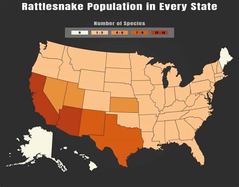 Rattlesnake Population By State - A-Z Animals