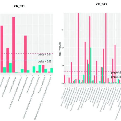 KEGG enrichment analysis p-value histogram. Gene represents ...