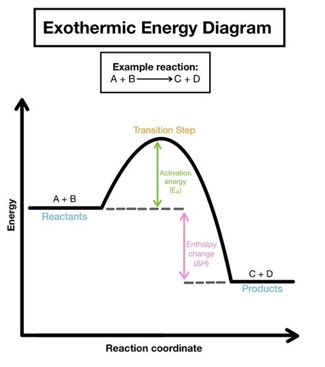 Endothermic and Exothermic Reactions — Overview & Comparison - Expii