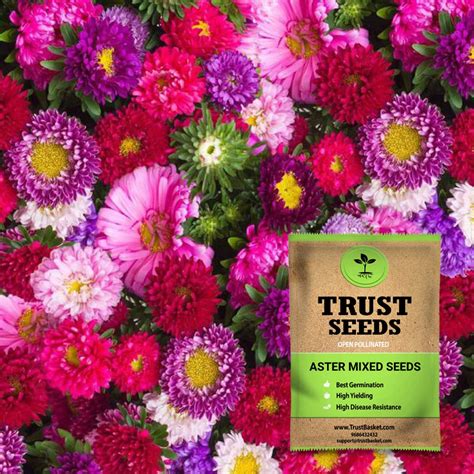 home & garden > plants > seeds – TrustBasket