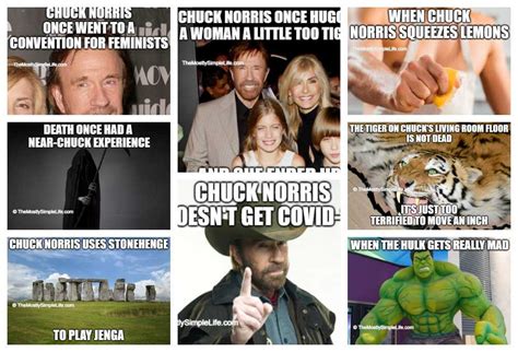 Chuck Norris Facts Book