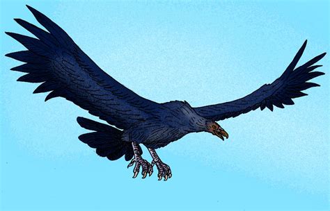 Argentavis - Facts and Figures