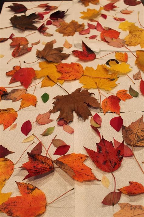 Keeping up with the Kiddos: Thanksgiving Leaf Placemats