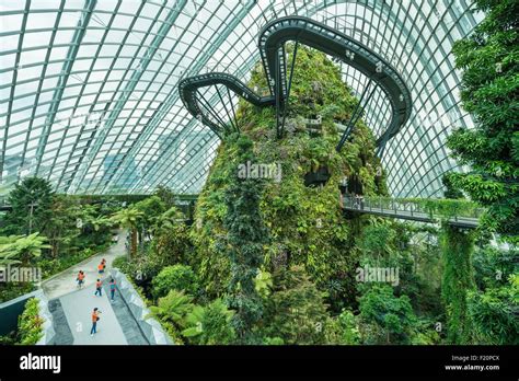 Singapore, Marina Bay, Garden By the bay, Cloud Forest, botanic garden ...