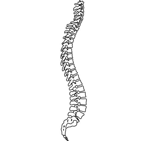 Pin de ONDADPAZ em DESENHOS | Fisioterapia, Simbolo fisioterapia ...