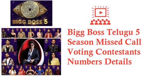 Bigg Boss Telugu 5 Voting by Giving a Missed Call to Contestants ...