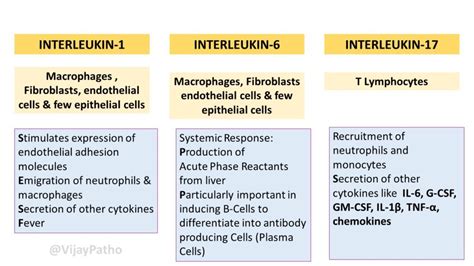 Chemical Mediators of Inflammation: CYTOKINES : Interleukins ...