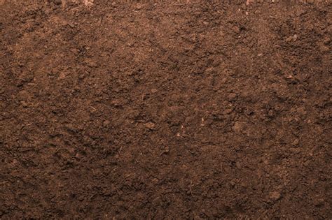 Soil Background Texture