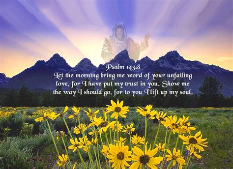 Psalm 143:8 Psalm 143 8, Psalms, Bible Verses, Scripture, Show Me The ...