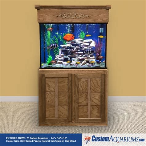 Aquarium Package Specials | Custom Aquariums