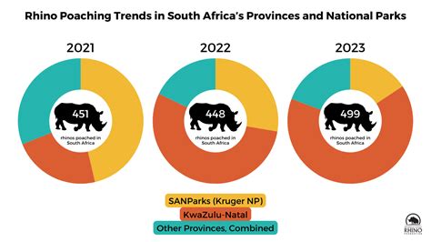 Rhino Poaching on the Rise - International Rhino ...