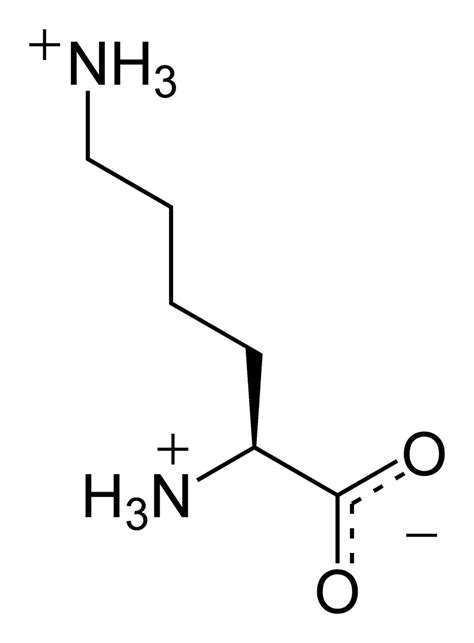 L-Lysine – NutraWiki