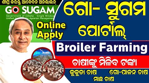 Go Sugam Portal Broiler Poultry Farming Apply Online |Go Sugam Portal ...