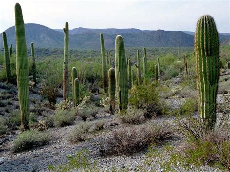 Photos: See the sweeping American landscapes under review by Trump ...