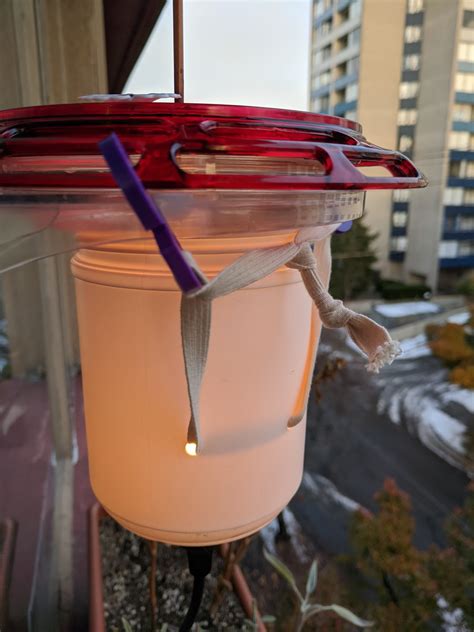 DIY Hummingbird Feeder Heater for Vancouver Anna's Hummingbirds ...