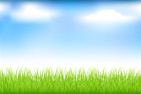 Grass And Sky Clipart Wallpaper