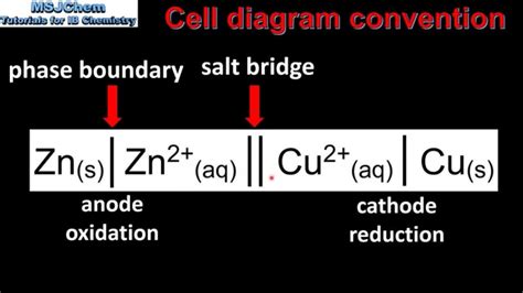 9.2 Cell diagram convention (SL) - YouTube