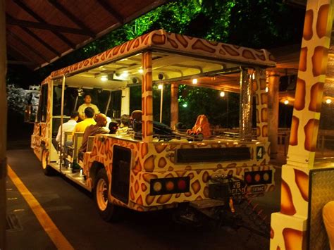 Singapore Night Safari,Night Safari In Singapore