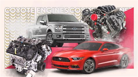 5.0 Coyote Engine Similarities and Differences: Ford Mustang GT vs ...