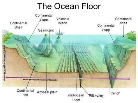 SCIENCE Oceans and Landforms Diagram | Quizlet