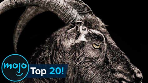 Top 20 Terrifying Horror Movie Animals - YouTube