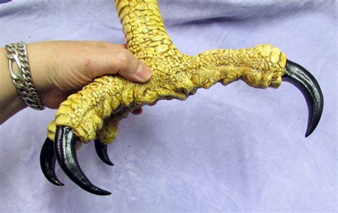 Huge Haast Eagle Replica Foot Talon Claw Raptor Dinosaur Fossil Bird ...