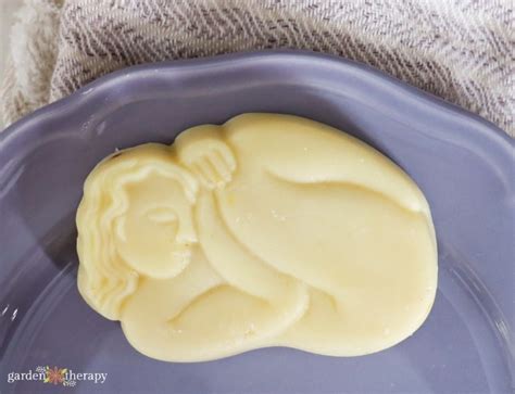 Budget-Friendly Soap Making With Lard Soap - Garden Therapy